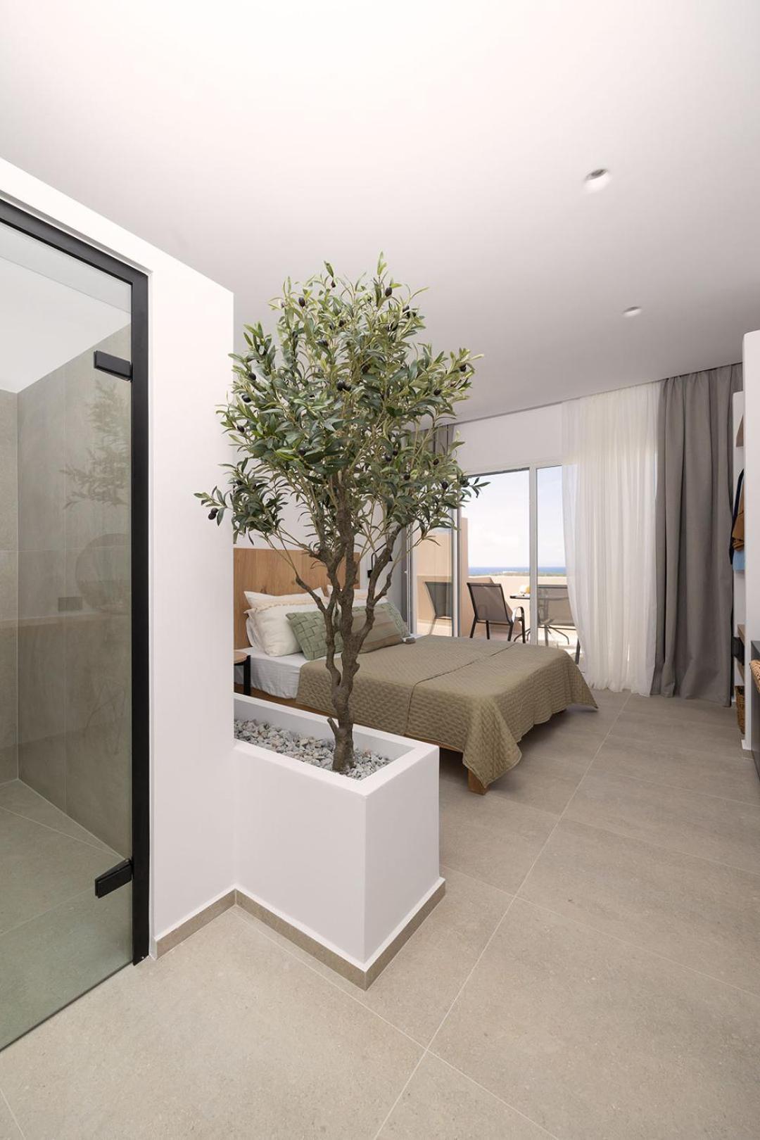 Olive Vista Apartment Kastraki (Naxos)